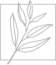 rr