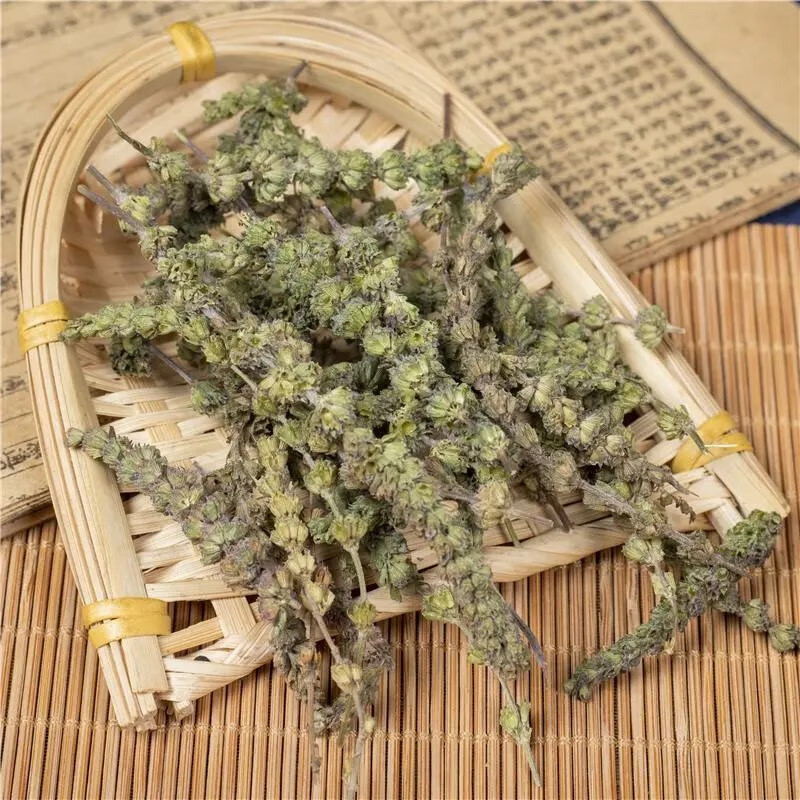 Kinh Giới Tuệ
