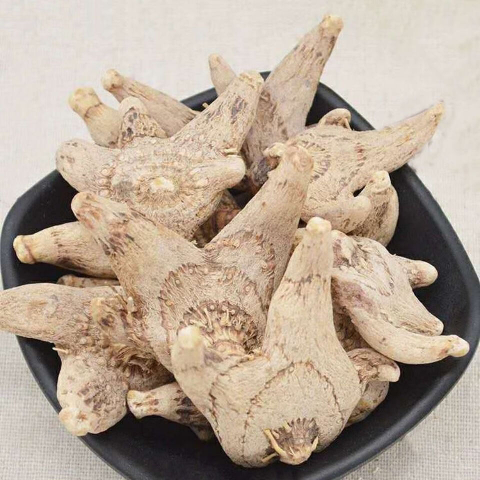 bạch cập
