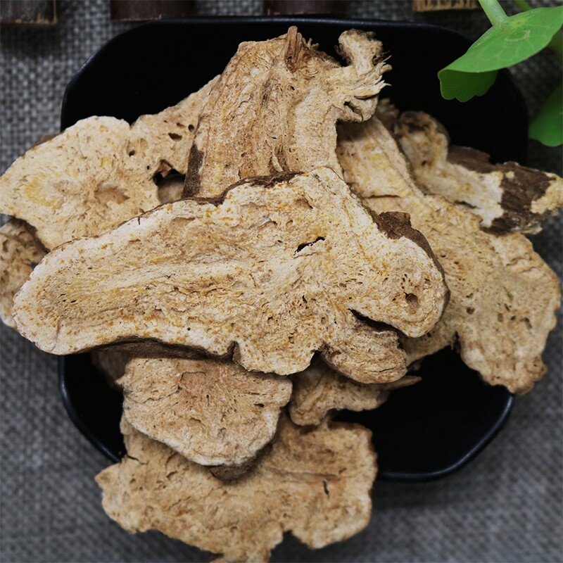Bạch Truật