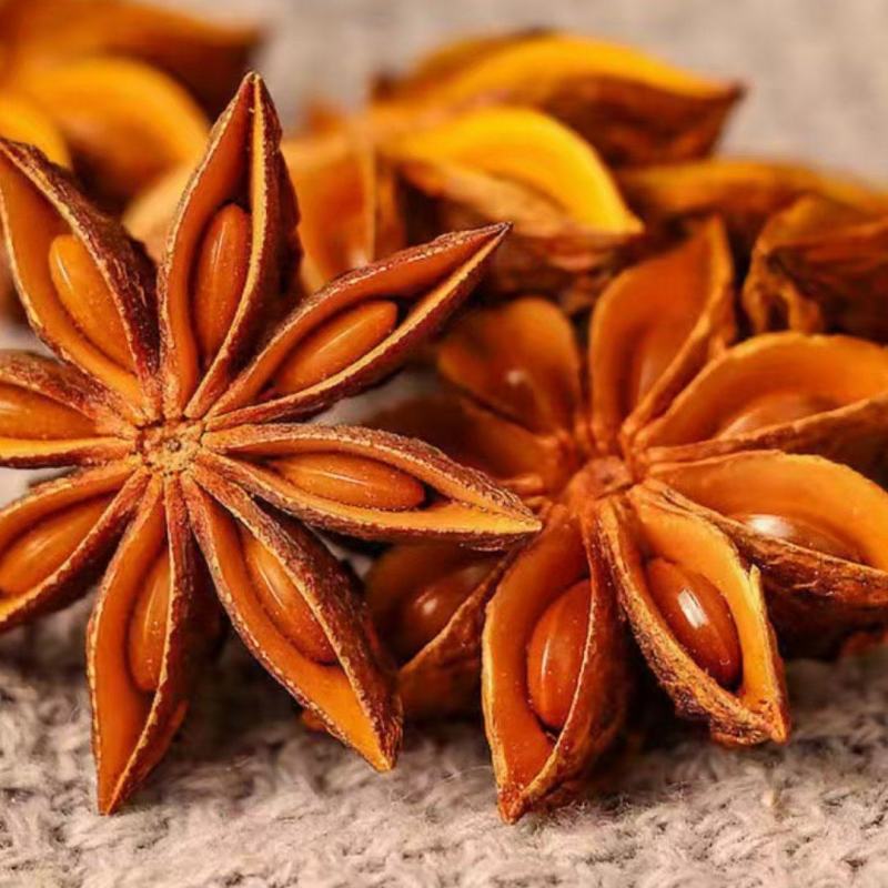 Đại Hồi