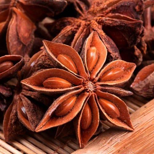 Đại Hồi