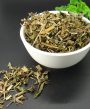 Bạc hà