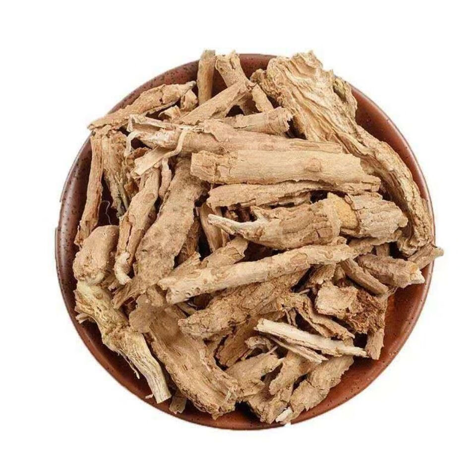 Địa Cốt Bì