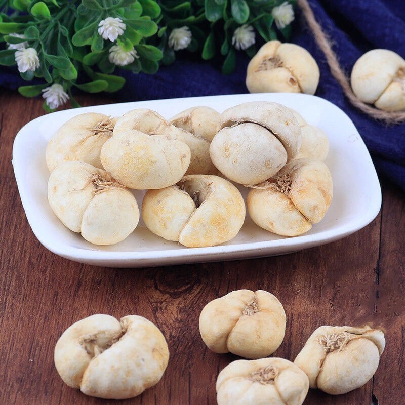 Thổ Bối Mẫu