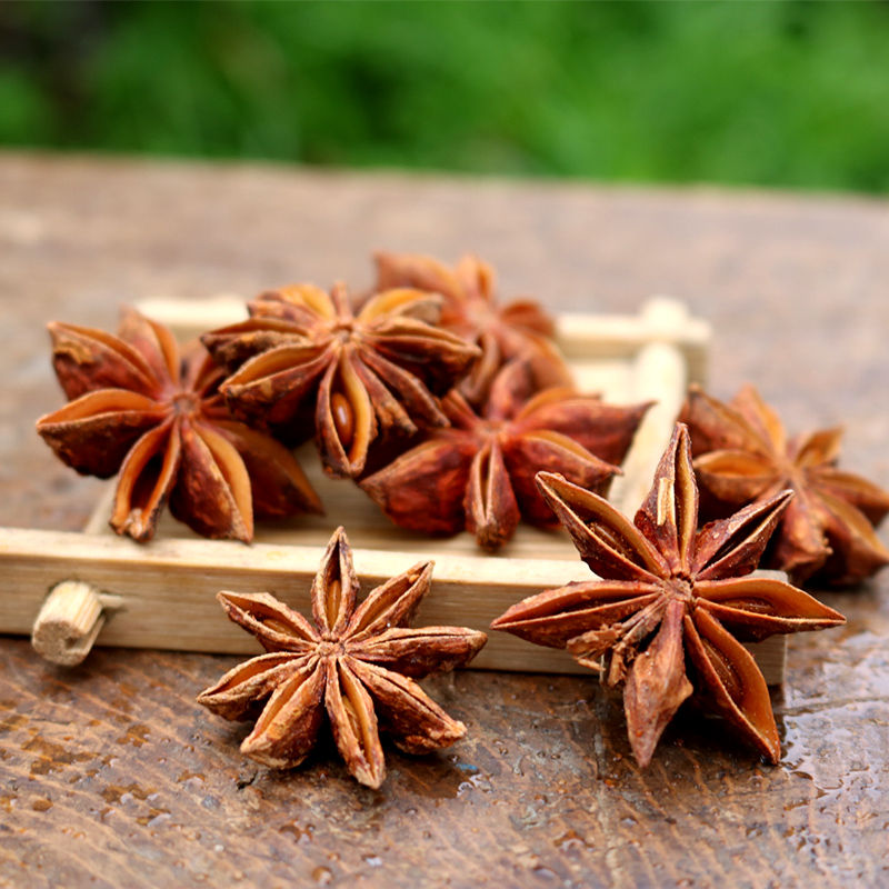 Đại Hồi