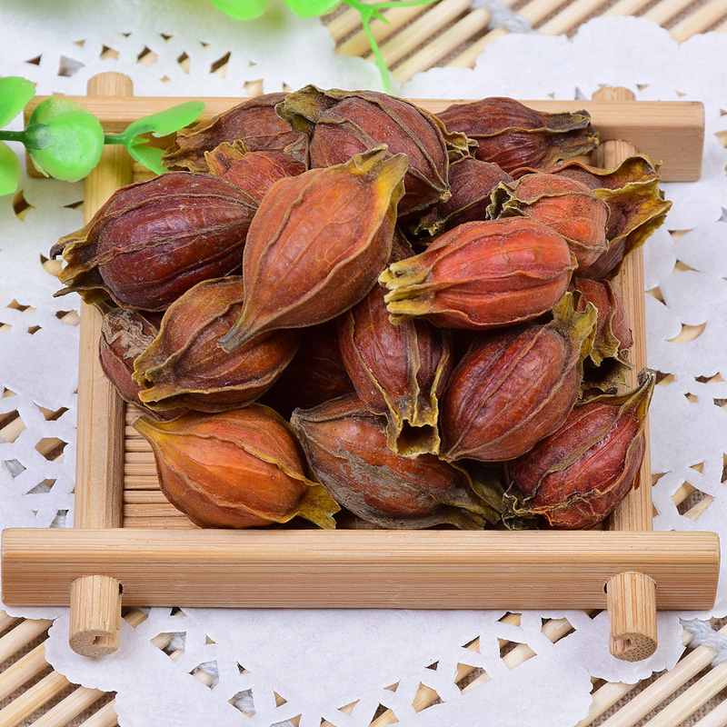 Chi Tử