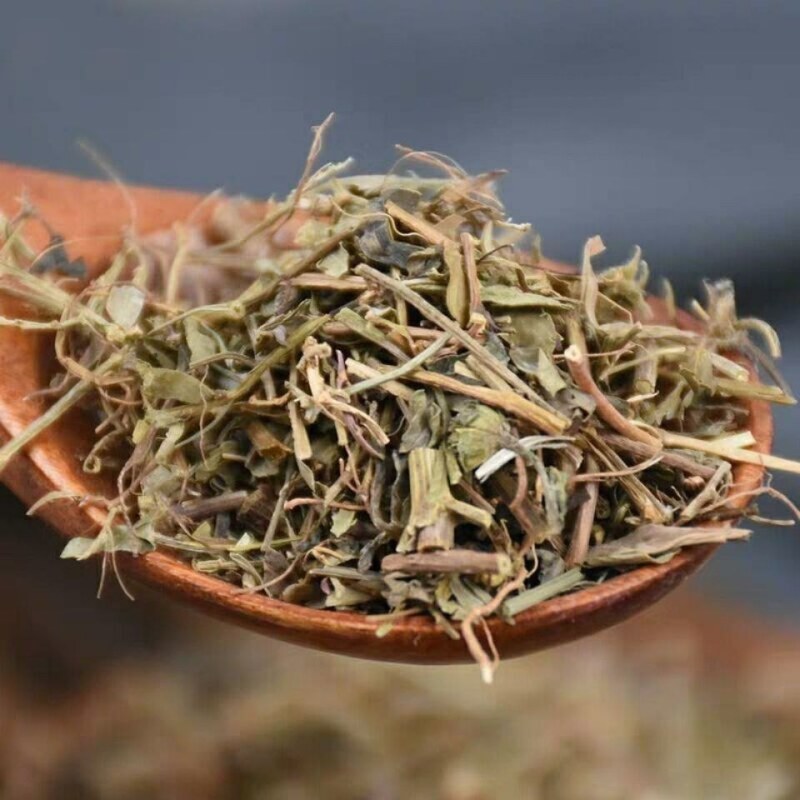 Diệp Hạ Châu
