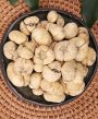 Thổ Bối Mẫu