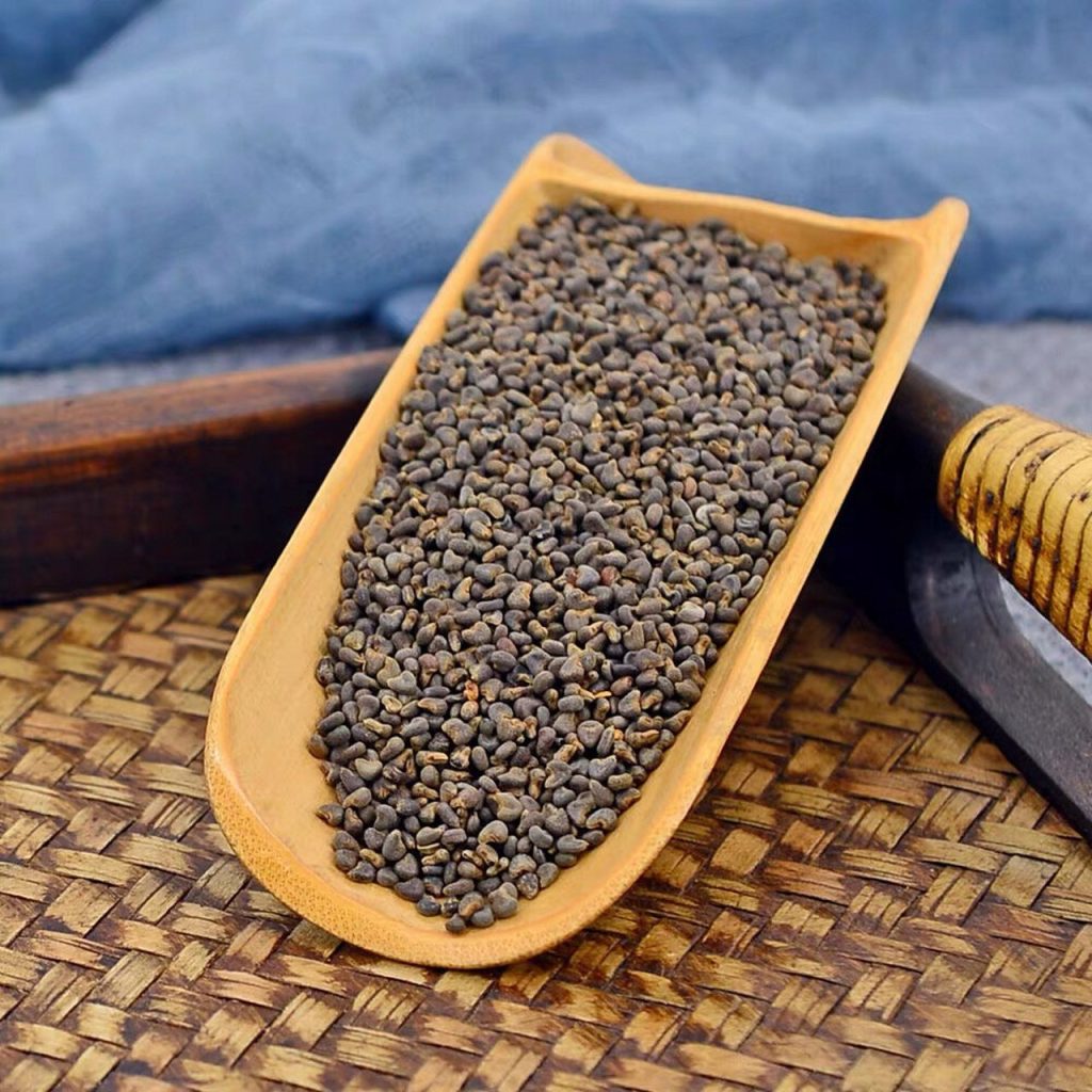 Đông Quỳ Tử