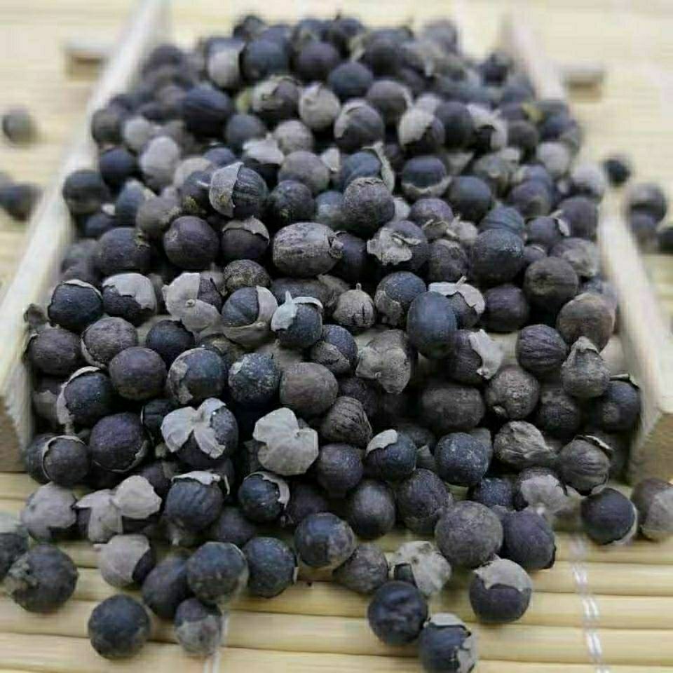 Mạn Kinh Tử