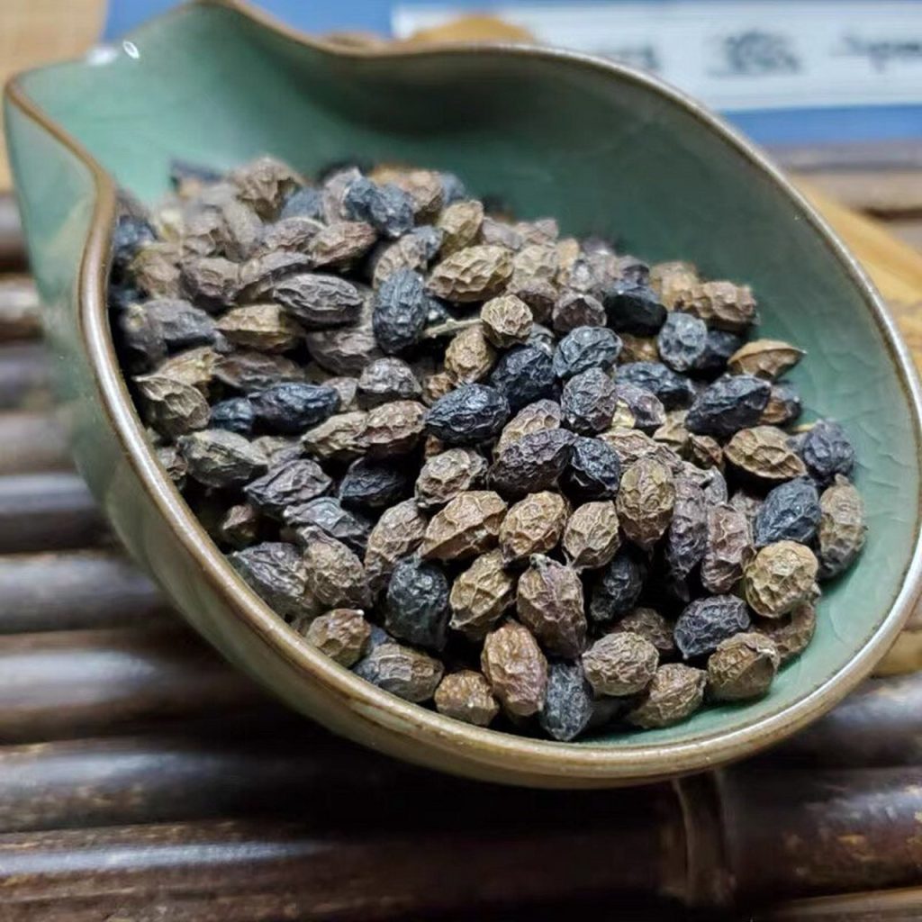 Nha Đởm Tử