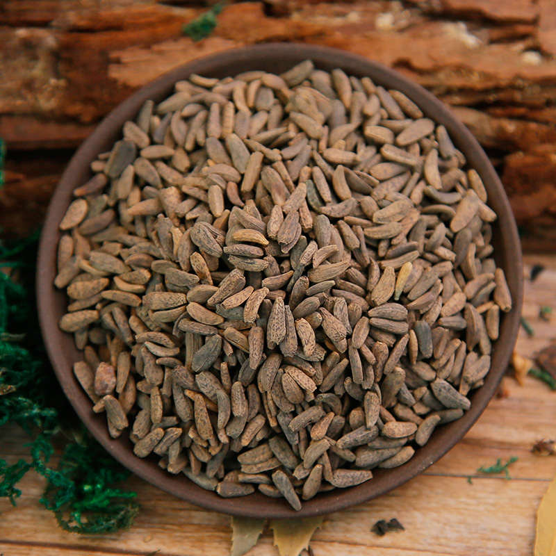Ngưu Bàng Tử