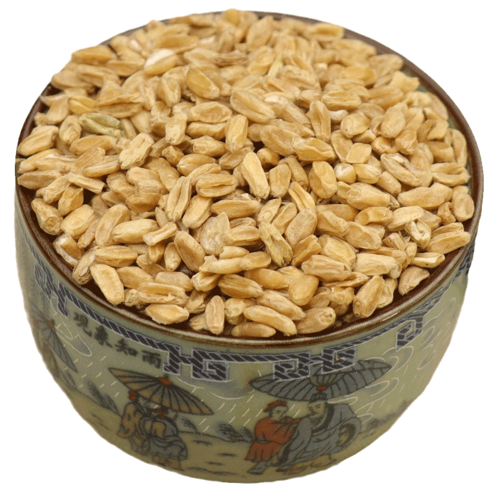 Phù Tiểu Mạch