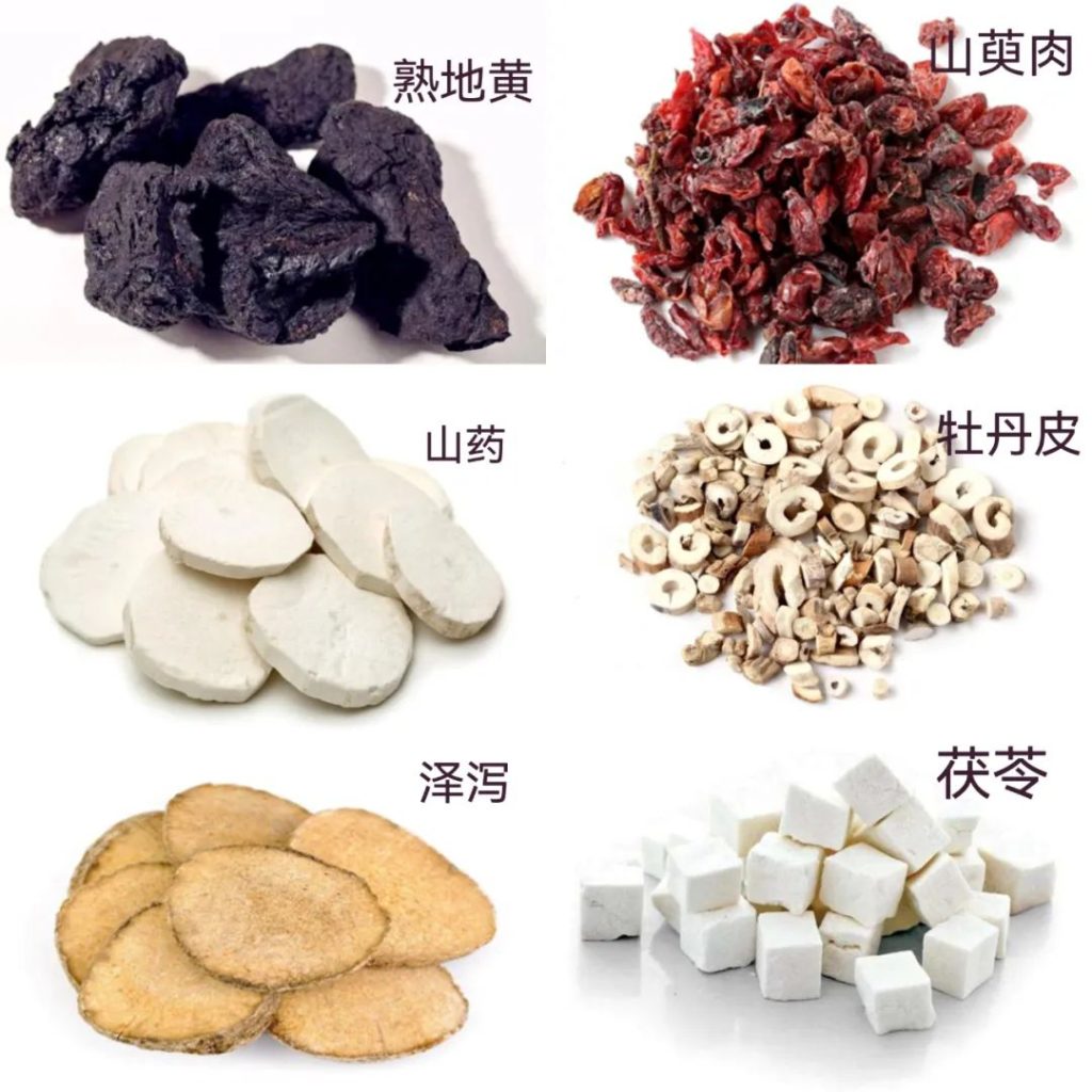 Lục Vị Địa Hoàng Hoàn