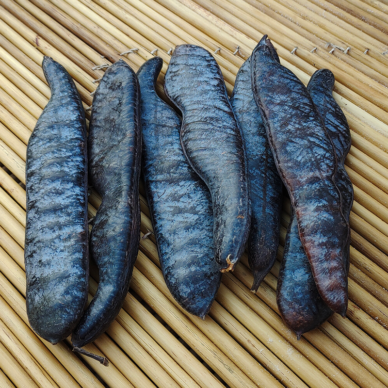 Tạo Giác