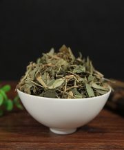Trúc Diệp