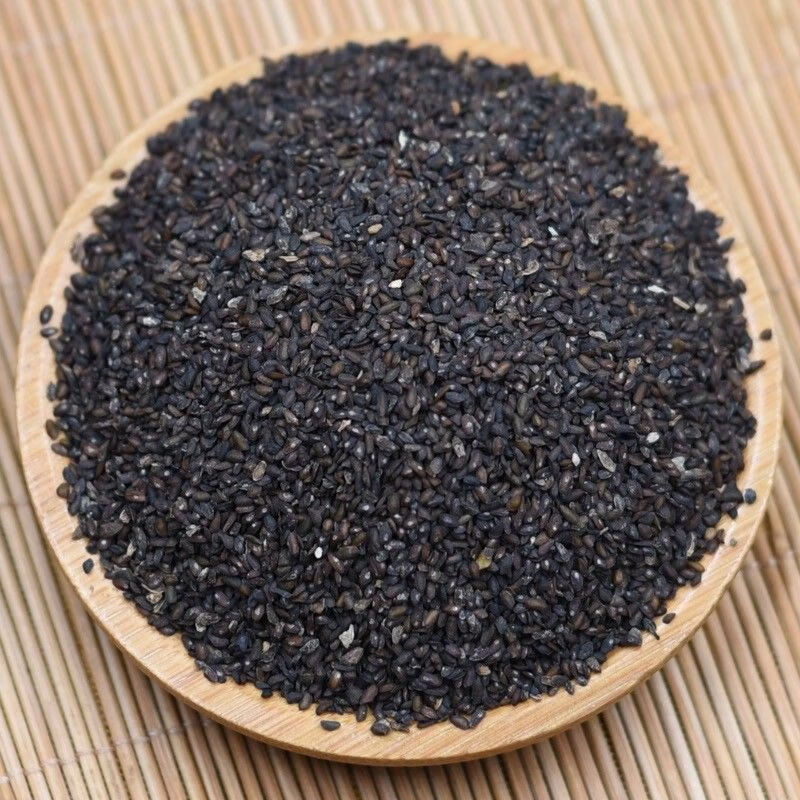 Xa Tiền Tử