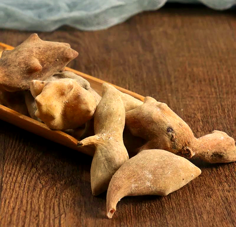 Ngũ Bội Tử