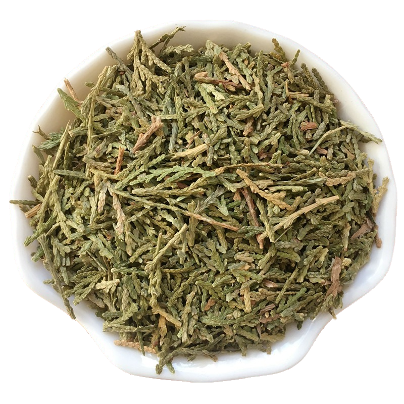 Trắc Bá Diệp