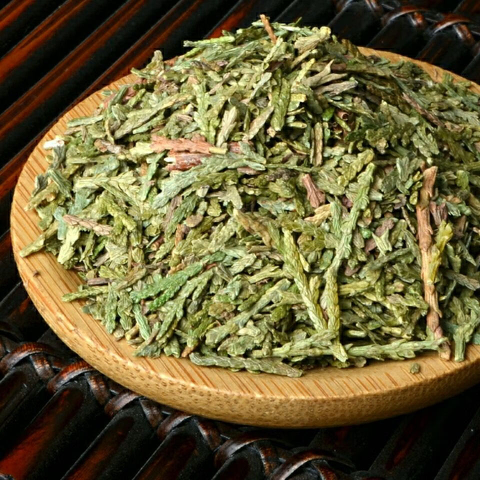 Trắc Bá Diệp