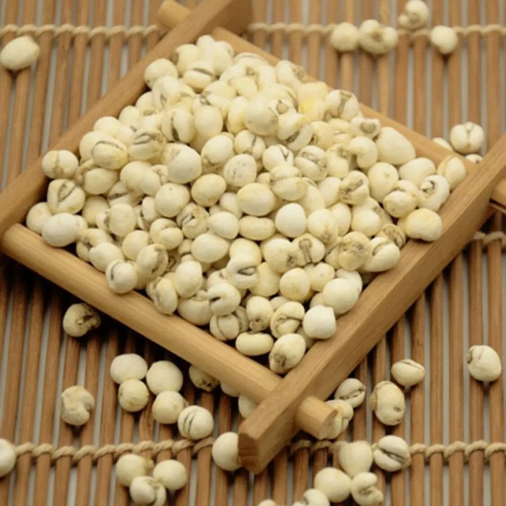 Xuyên Bối Mẫu