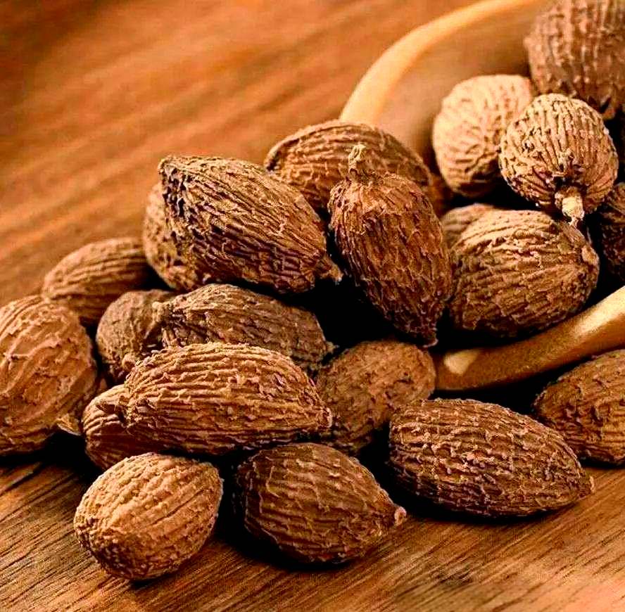Sa Nhân