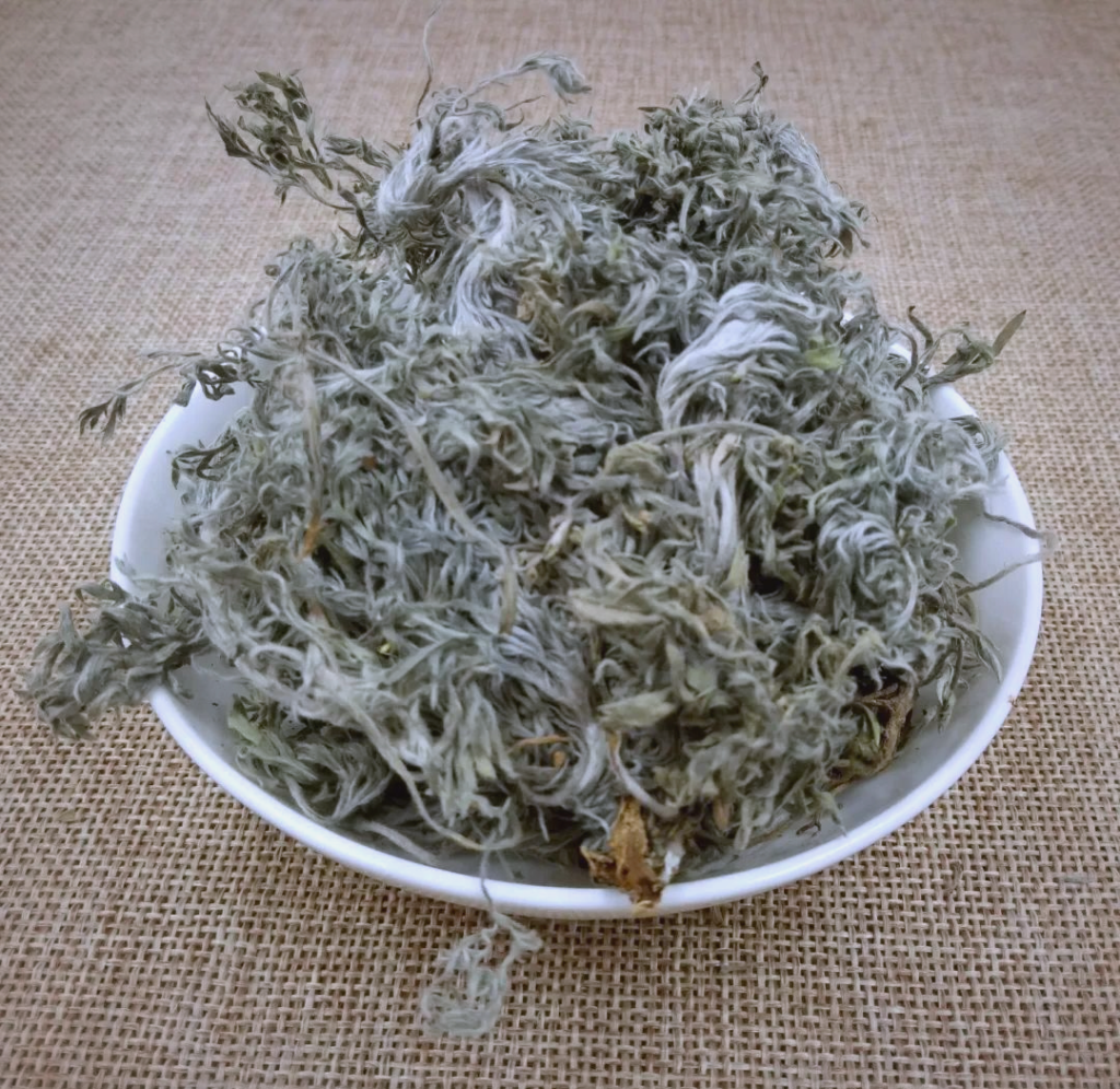Nhân Trần Bắc
