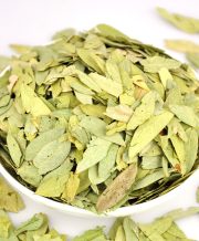 Phan Tả Diệp