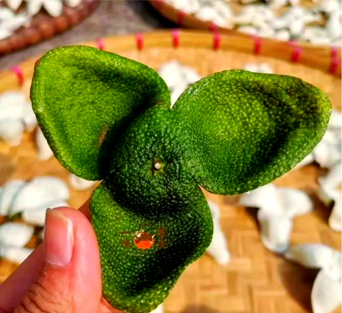 Thanh Bì