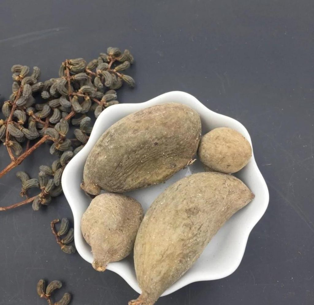 Ngũ Bội Tử